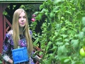 Monika Leończyk z budką dla trzmieli pomagającą zwiększyć populację trzmieli. Fot. Janusz Kurowski/GFM, źródło: http://wyborcza.pl/1,140884,16668666,Tropami_trzmieli_po_nagrode.html, dostęp: 23.10.14
